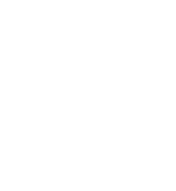 ENDURANCE SPORTS INTERNATIONAL logo, link to homepage